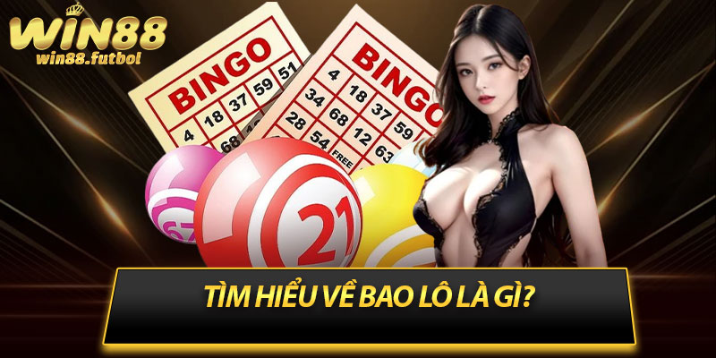 Tìm hiểu về bao lô là gì?